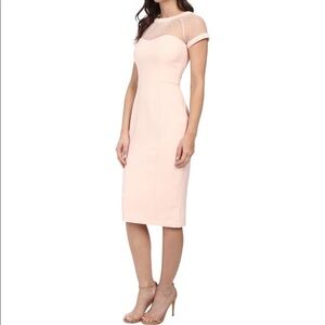 Maggy London Women's Blush Pink Illusion Top Crepe Dress